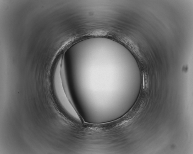 X0000097870300200804110931