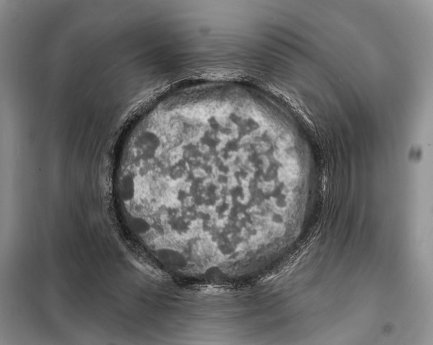X0000097870303200804110931