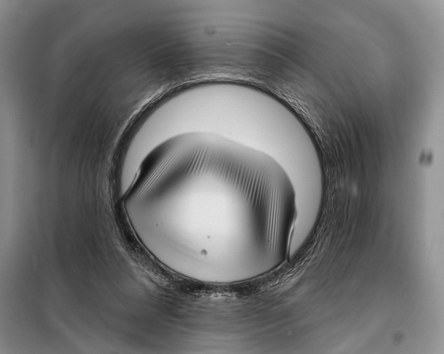 X0000097870304200804110931