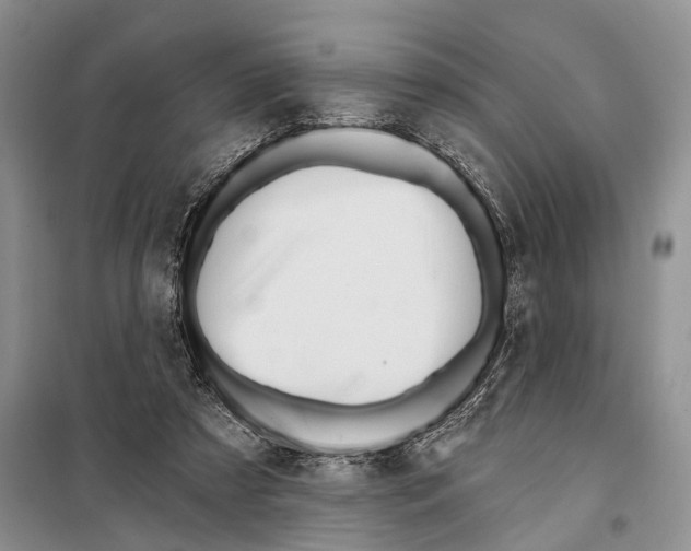 X0000097870305200804110931