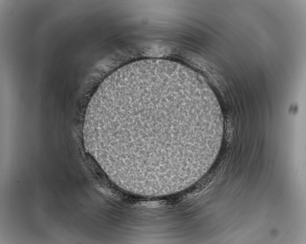 X0000097870307200804110931