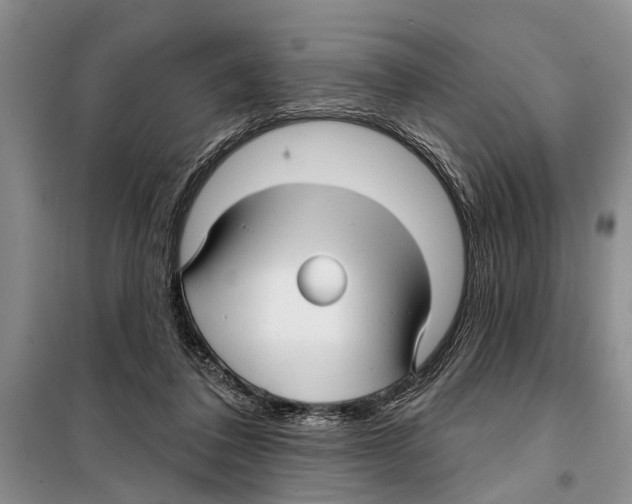 X0000097870308200804110931