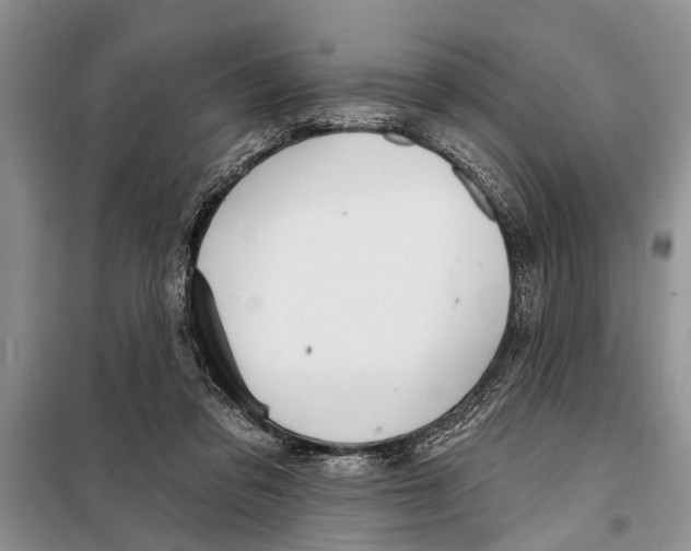 X0000097870309200804110931