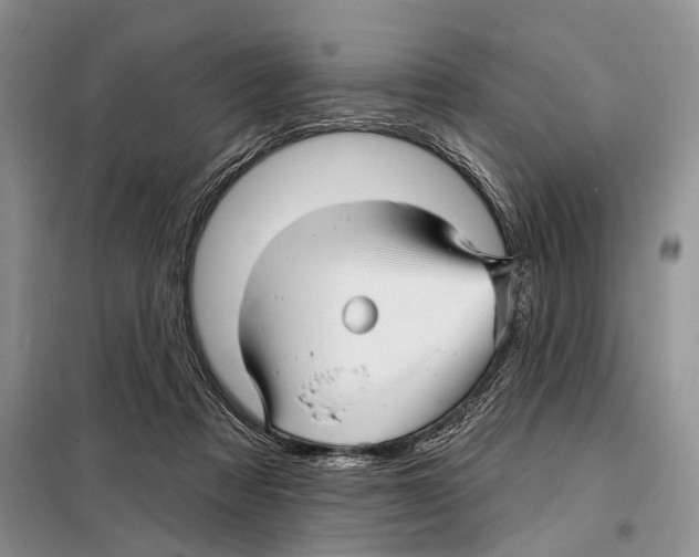 X0000097870313200804110931