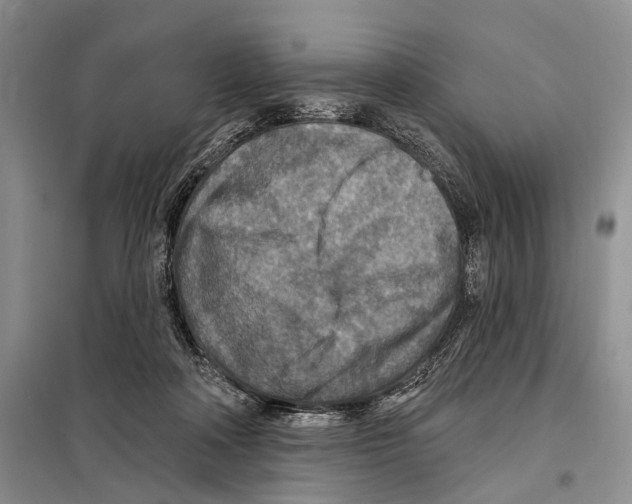 X0000097870314200804110930