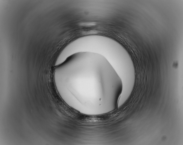 X0000097870316200804110930