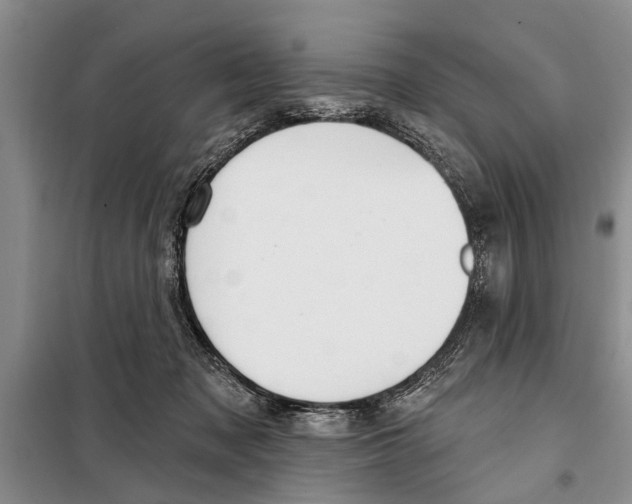 X0000097870317200804110930