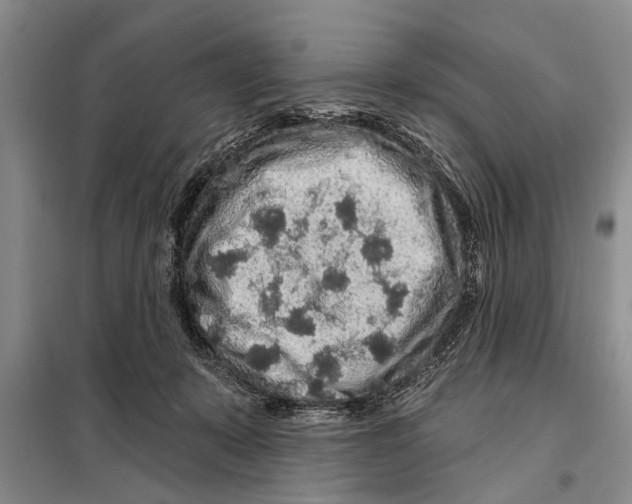 X0000097870319200804110930