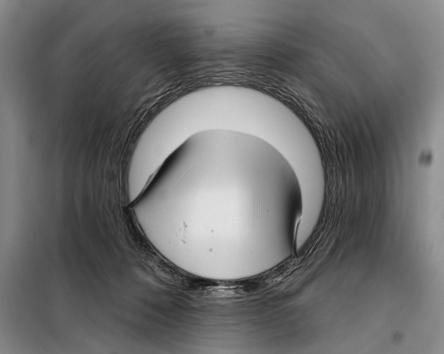 X0000097870320200804110930