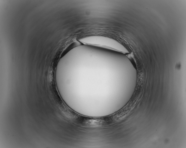 X0000097870323200804110930