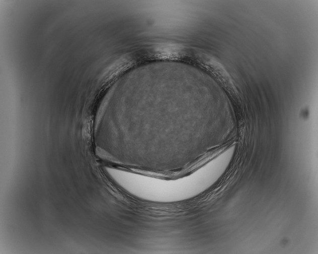 X0000097870325200804110930