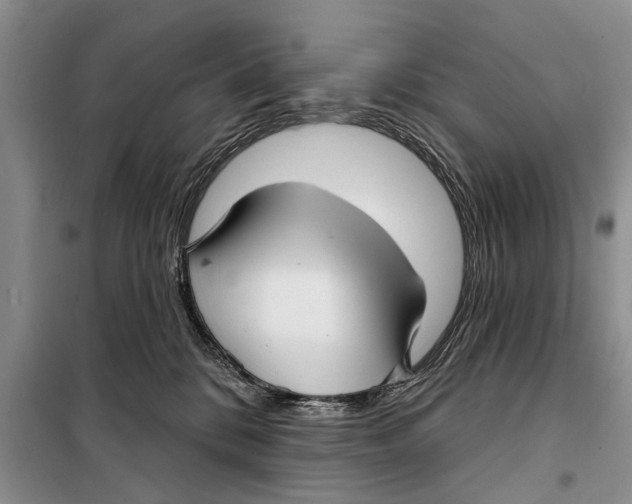 X0000097870328200804110930