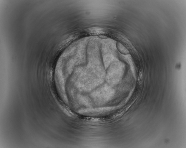 X0000097870330200804110930