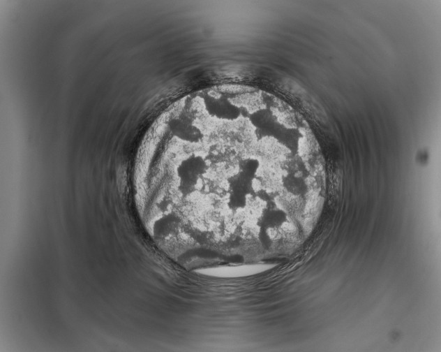 X0000097870331200804110930