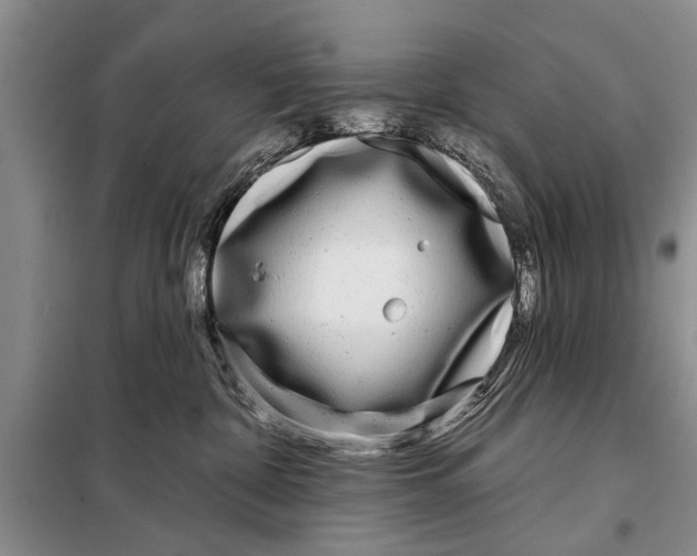 X0000097870332200804110930