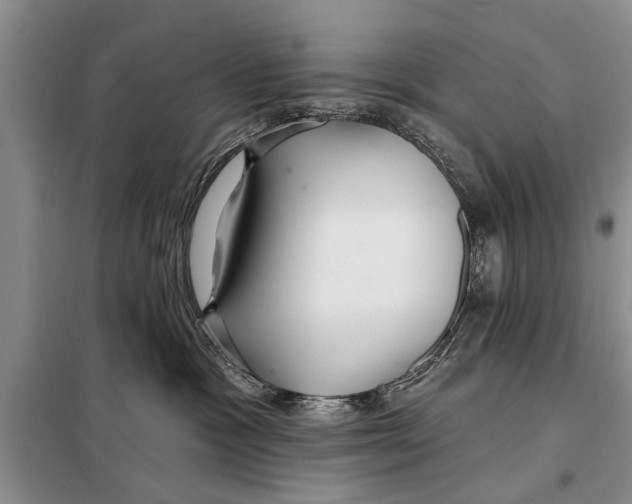 X0000097870333200804110930
