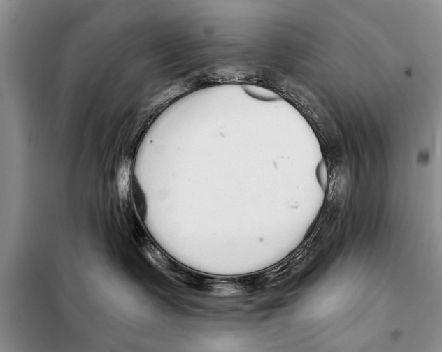 X0000097870335200804110930