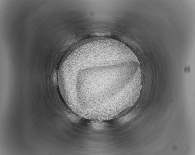 X0000097870336200804110930
