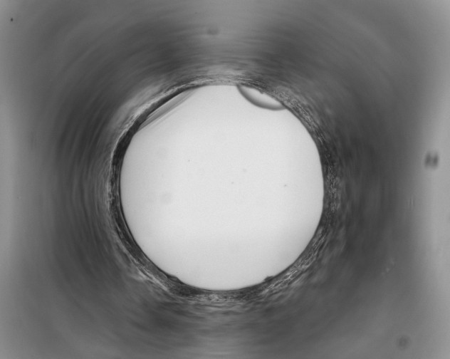 X0000097870338200804110929