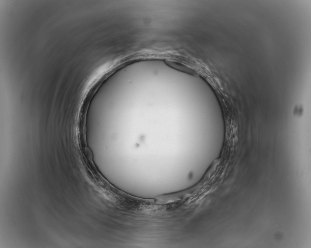 X0000097870340200804110929