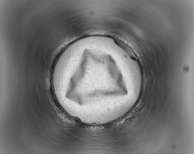 X0000097870345200804110929