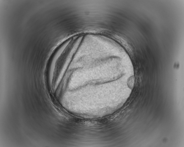 X0000097870346200804110929