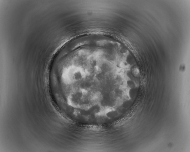 X0000097870347200804110929