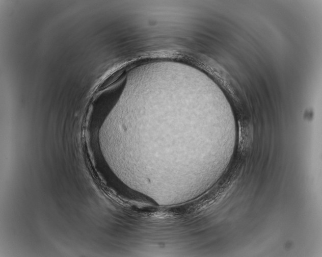 X0000097870348200804110929