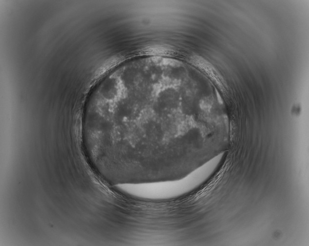 X0000097870349200804110929