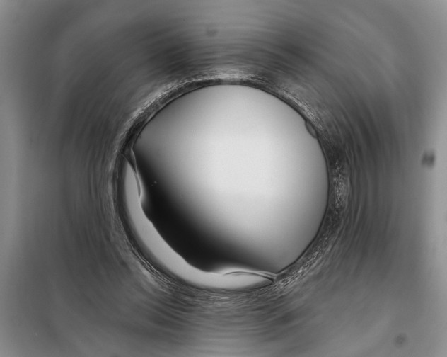 X0000097870350200804110930