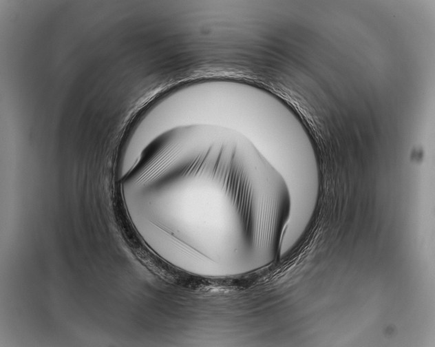 X0000097870352200804110930