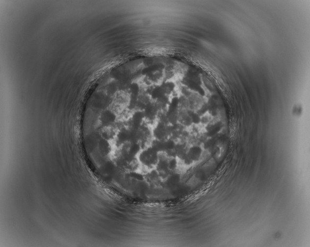 X0000097870353200804110930