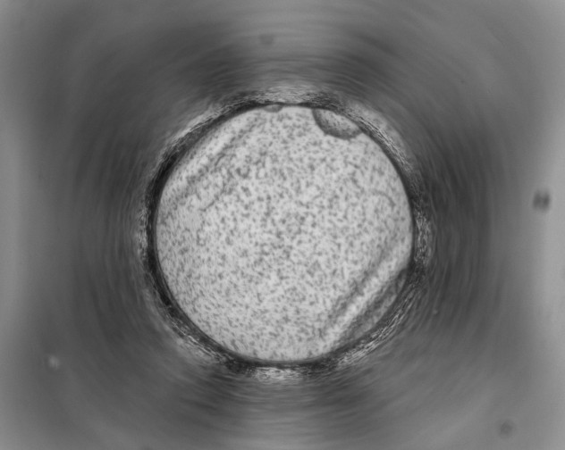 X0000097870354200804110930
