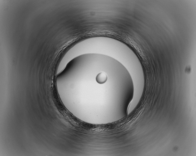 X0000097870356200804110930