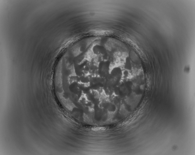 X0000097870357200804110930