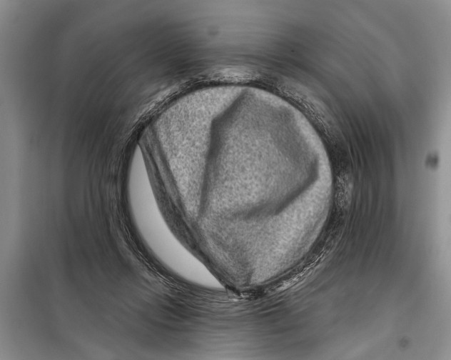 X0000097870358200804110930