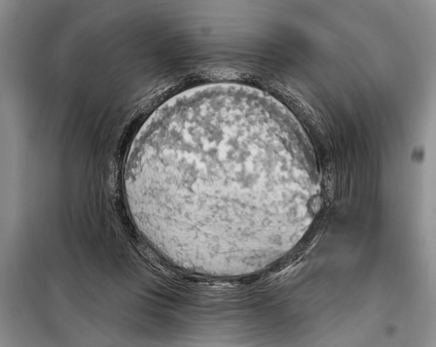X0000097870359200804110930