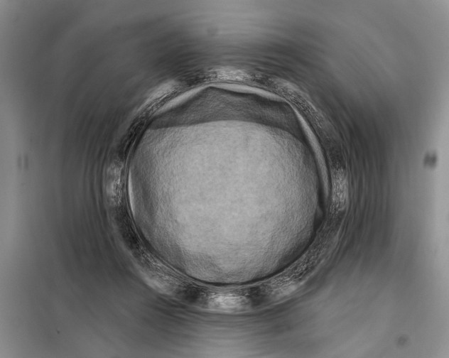 X0000097870360200804110930
