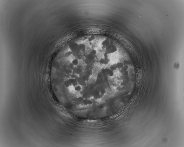 X0000097870361200804110930