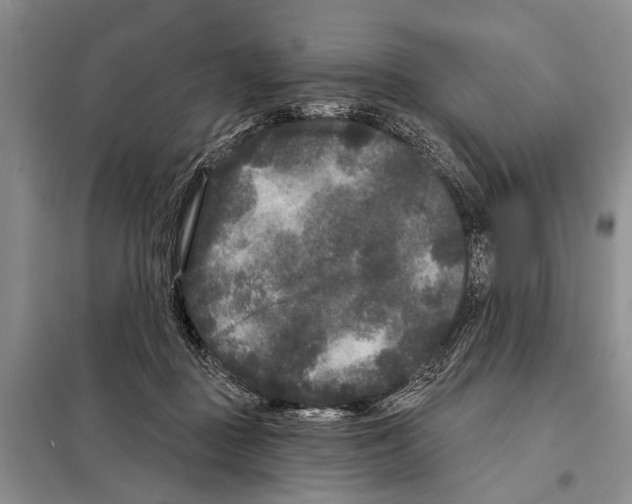 X0000097870363200804110930
