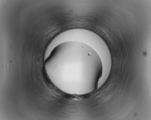 X0000097870364200804110930