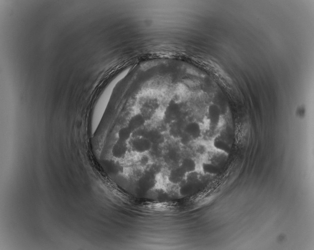 X0000097870365200804110930