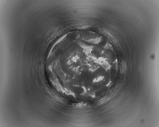 X0000097870366200804110930