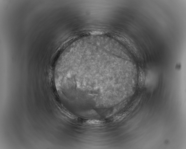 X0000097870367200804110930