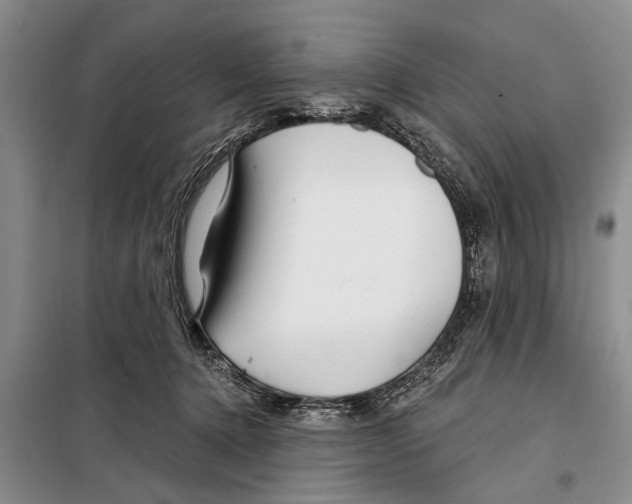 X0000097870368200804110930