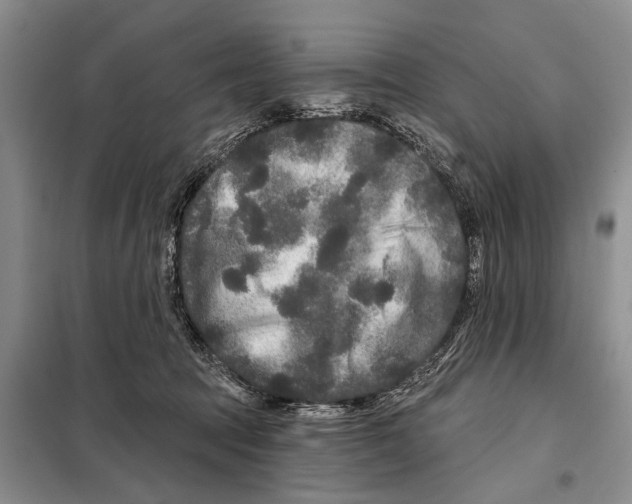 X0000097870369200804110930