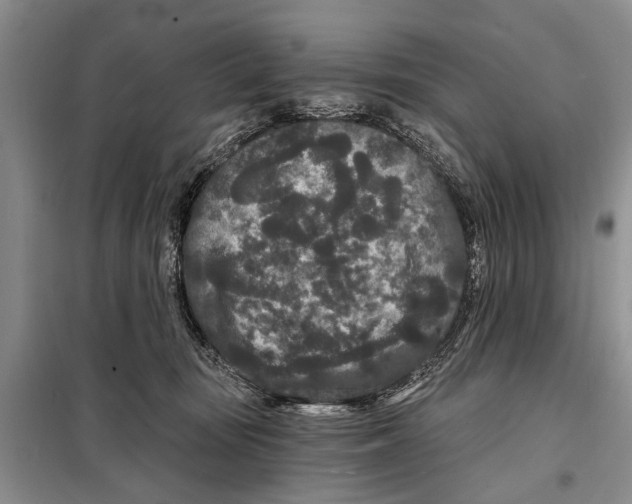 X0000097870371200804110930
