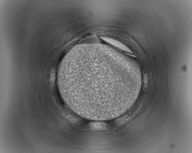 X0000097870372200804110930