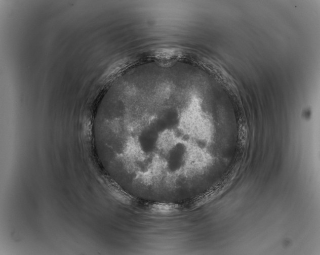 X0000097870375200804110930