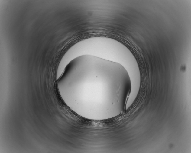 X0000097870376200804110930